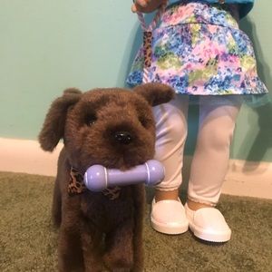 America’s Doll Chocolate Lab